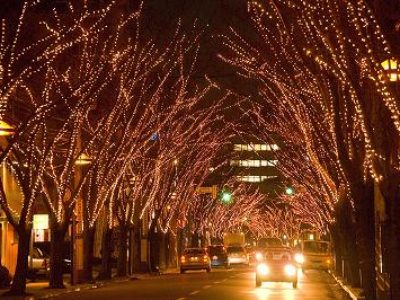 ♪イルミネーション♪