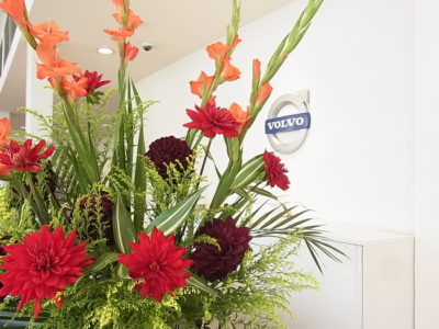 ニューボルボ 60シリーズ デビューフェア開催!