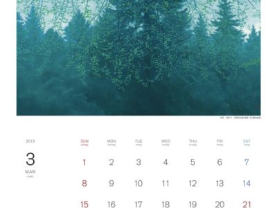 3月のカレンダーをお届け致します♪