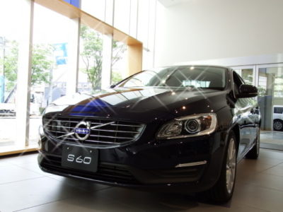 光の加減で色が変わる?!