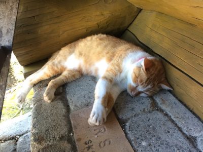 隠し撮り・・・