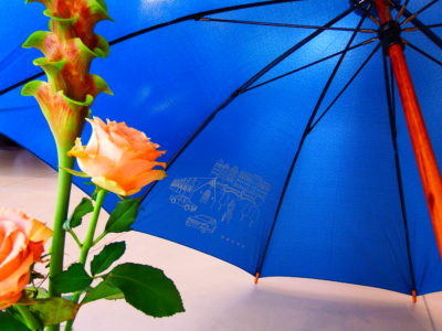 本日までですよ～!