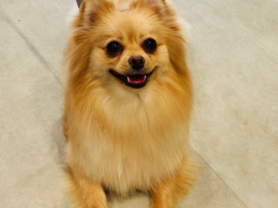 可愛いお客様♡